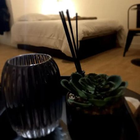 Le 29 Cuty, Wifi, A 3Min De La Gare Sncf Daire Agen Dış mekan fotoğraf